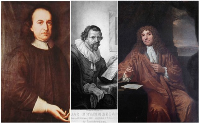 Malpighi, Swammerdam y Antonio Van
