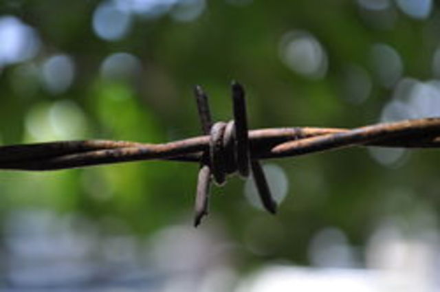 Barbed Wire