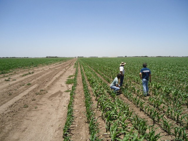 Contrato de Aparcería