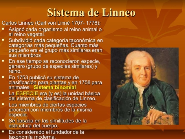 Clasificación de los seres vivos