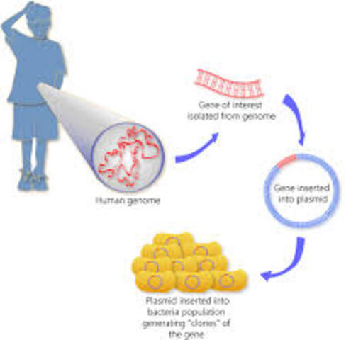 The U.S. patent for gene cloning is awarded to Cohen and Boyer.