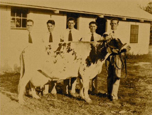 The American Royal Livestock Show