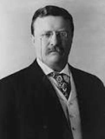 Theodore Roosevelt becomes president