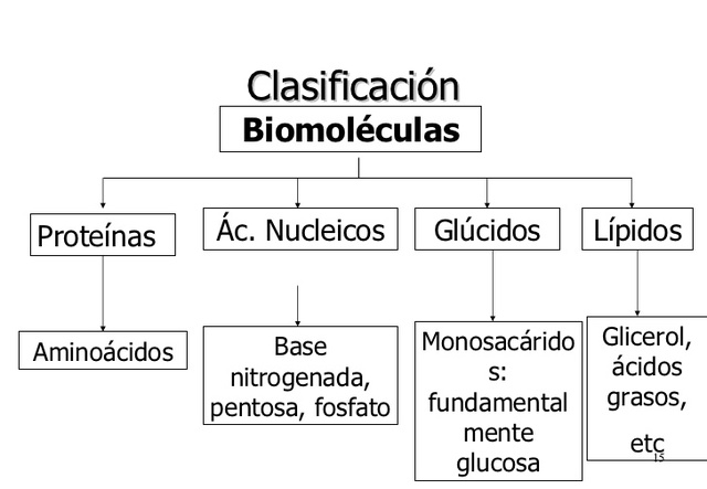 Clasificación de las biomoleculas