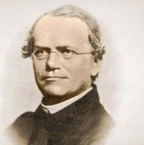 Gregorio Mendel