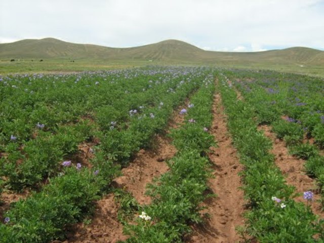 Retos del campesinado