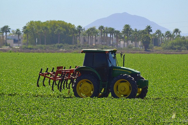 Políticas públicas