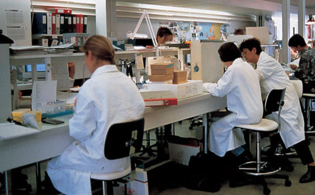 La Química (Actualidad)