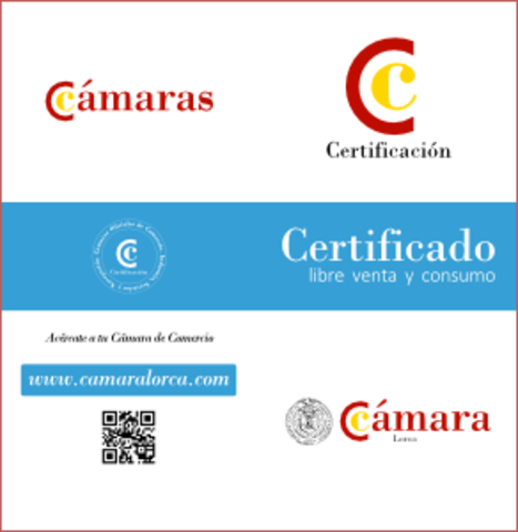 FEB 18, 2004 FEB 18, 2004 DECRETO 481 DE 2004