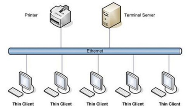 Aparición de los terminales