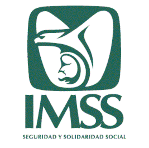 ALTA DE SEGURO SOCIAL