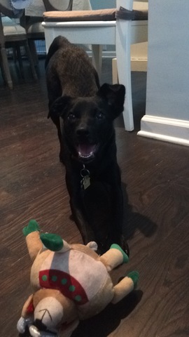 Family expansion pt. 4