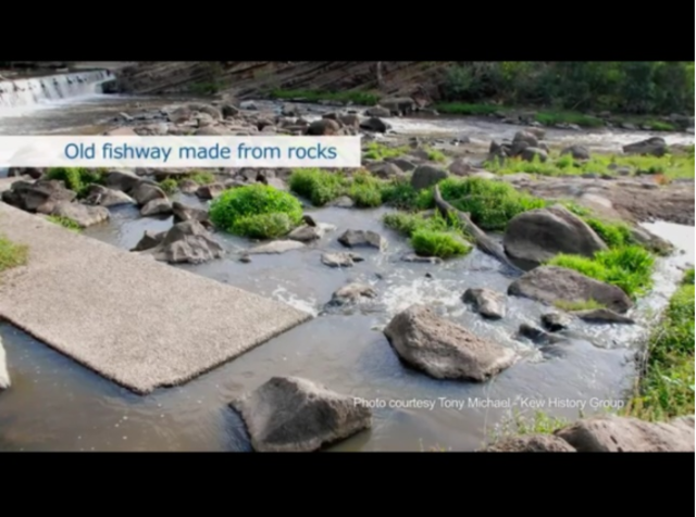 Melbourne constructed a water fish way.