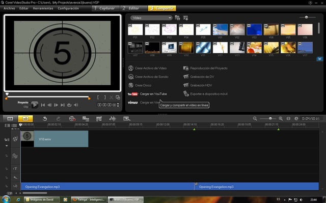Software decodificador de video
