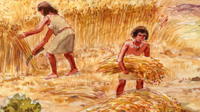 Se estudia el papel del cacicazgo en la construcción de sistemas de produccion campesina