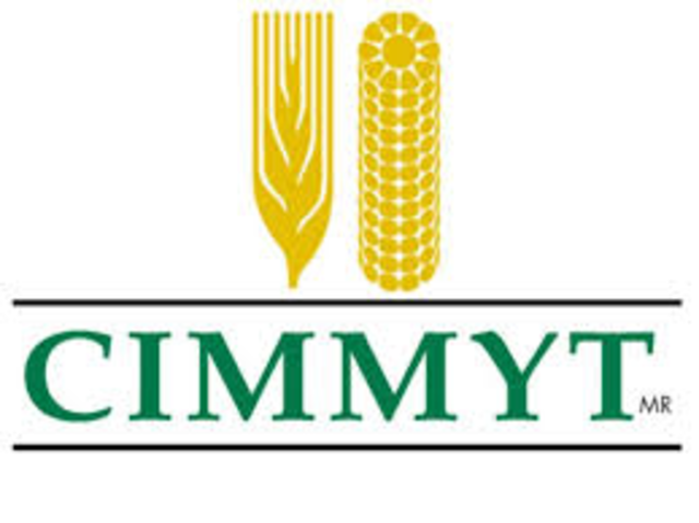 Creación del CIMMYT