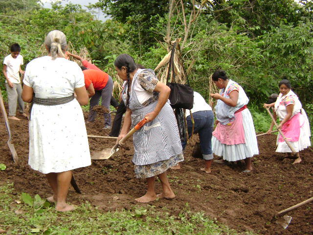 Enfoque y etapa de las políticas y programas de desarrollo rural en Desarrollo Rural Integrado