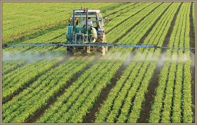 Revolución Verde constituye el desarrollo rural centrado en la tecnológia y el incremento de producción