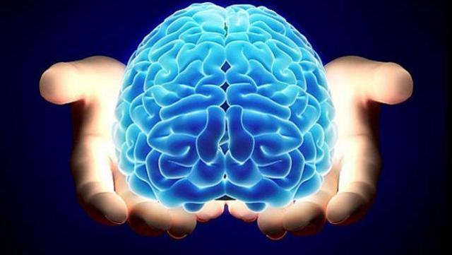 Homínidos - Homo sapiens sapiens (28.000 años)