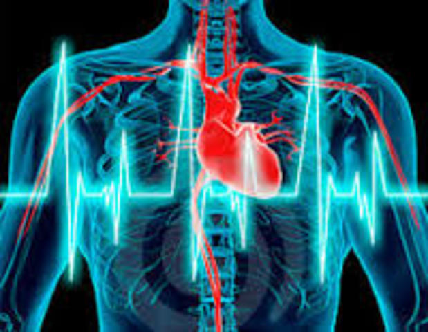 Descubrimientos acerca de la electrofisiología