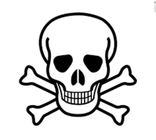 Muerte de Pierre de Berulle