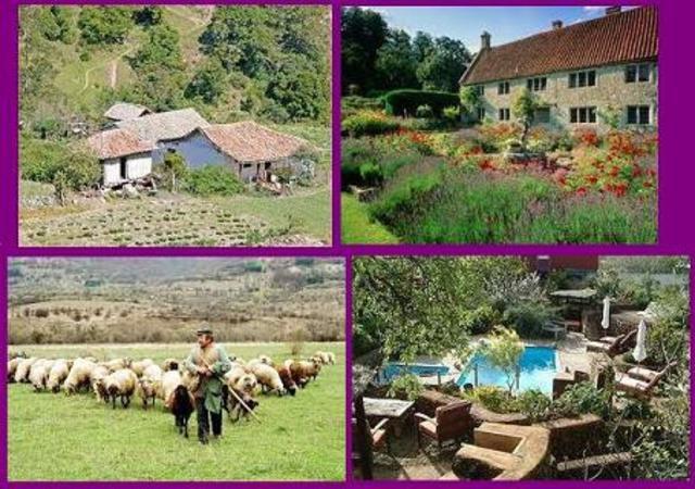 Desarrollo del turismo rural