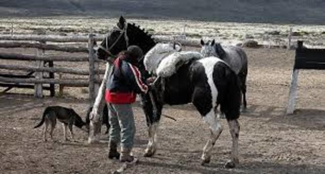 Búsqueda de Nuevas Actividades