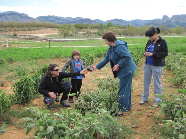 Programas de Desarrollo Integrado de Turismo rural