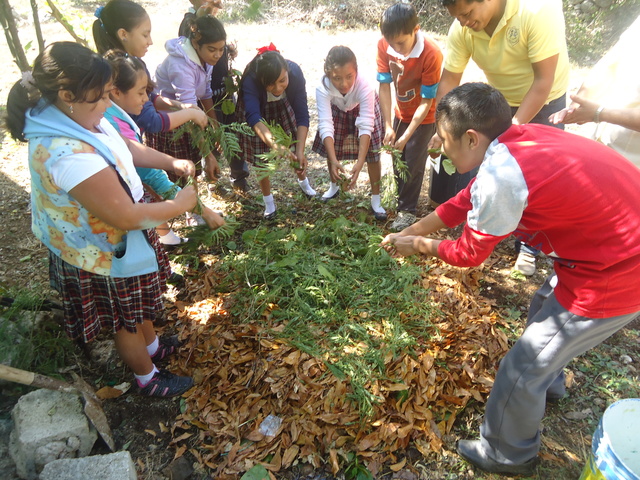 Enfoque y etapa de las políticas y programas de desarrollo rural en Desarrollo Comunitario