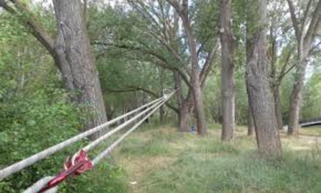 Implantación de actividades