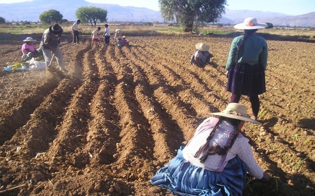 Teorias de Angel Palerm