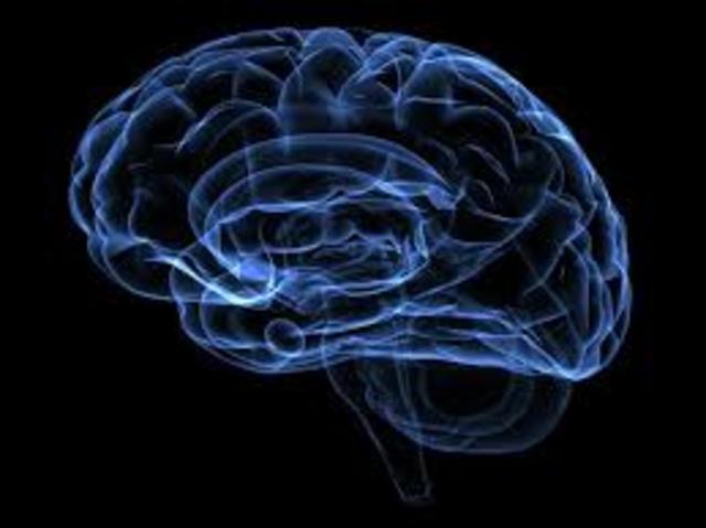 La neuropsicología cognoscitiva