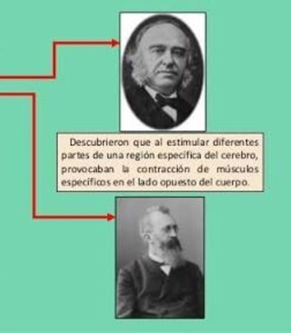 Gustav Fritsch y Edward Hitzig