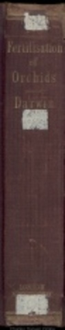 Publica obra sobre las  orquideas