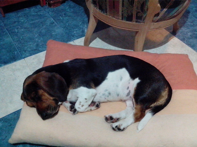 My father gave me a gift