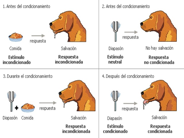 Origen Teoría Conductual