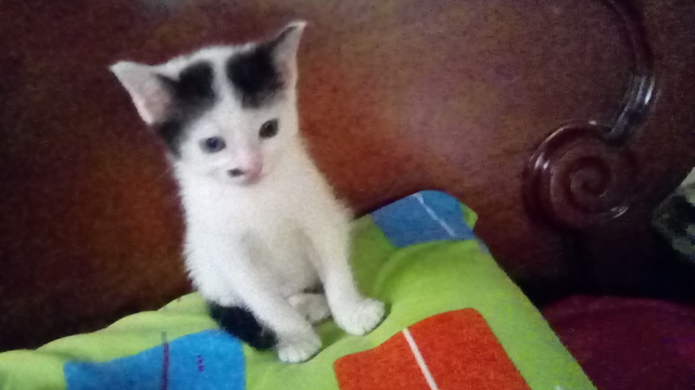 My mother gave us a gift