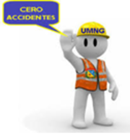 Decreto Ley 1295/1994