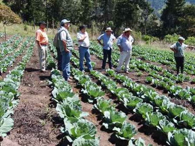 Programa Social Agropecuario