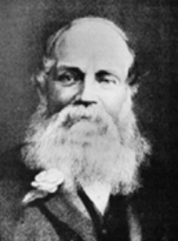 William Welch Deloitte