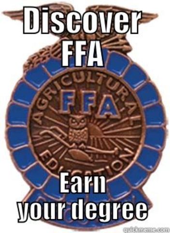 Discovery FFA degree