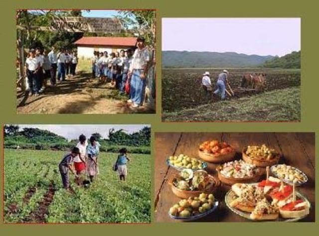 Implantación de la Actividad Turística