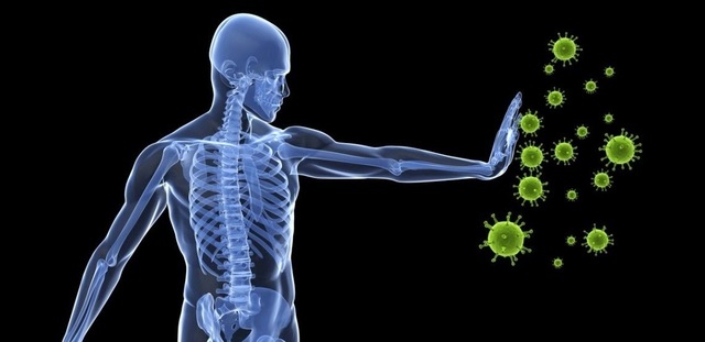 Agentes infecciosos e inmunidad