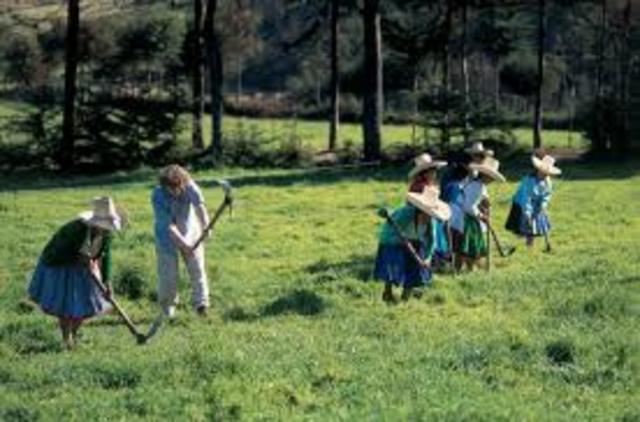 Proyecto de Desarrollo Rural de las Provincias del Noreste Argentino (PRODERNEA)
