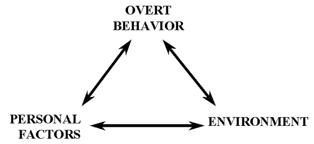 Roberts Williams "The Behavioral Perspective in Contemporary Education"
