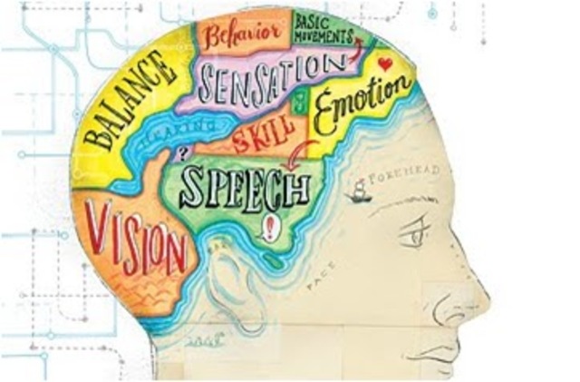 Estrategias Cognitivas