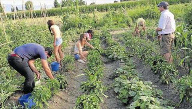 INTA promueve el desarrollo del turismo rural.