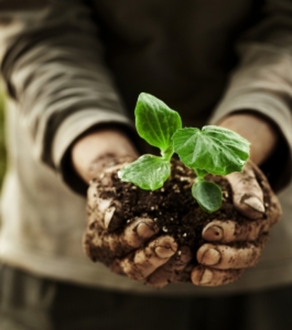 Emerge el concepto de DRI.