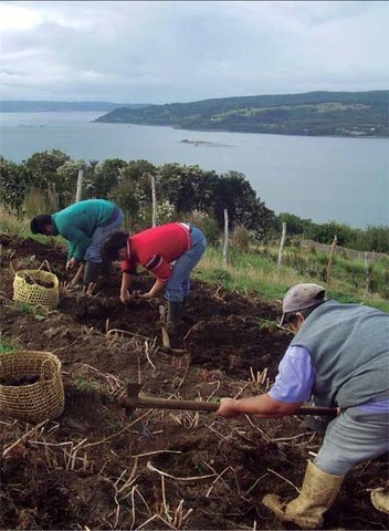 Caracterización económica de los sistemas de producción campesina