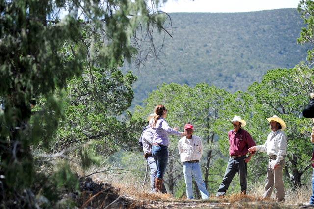 Implantación de la actividad turística.